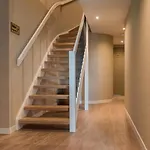 Vz914 Junior Ocean Suite Te Vlissingen